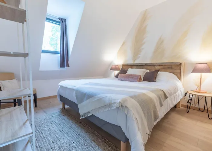 Du Rouge Gorge D'azun Aucun